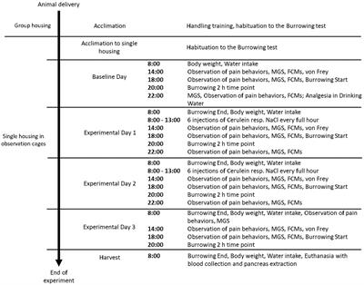 Analysis of Pain and Analgesia Protocols in Acute Cerulein-Induced Pancreatitis in Male C57BL/6 Mice